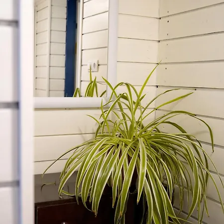 Hostel Dom Studencki Centaur