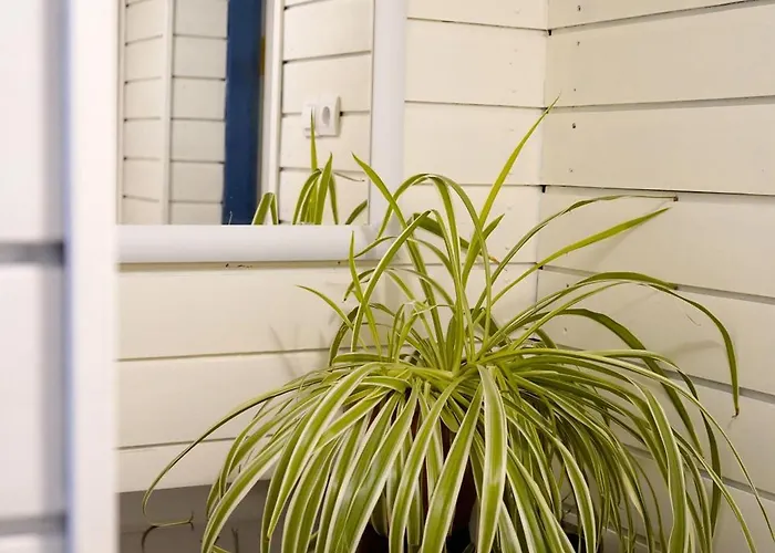 Хостел Dom Studencki Centaur